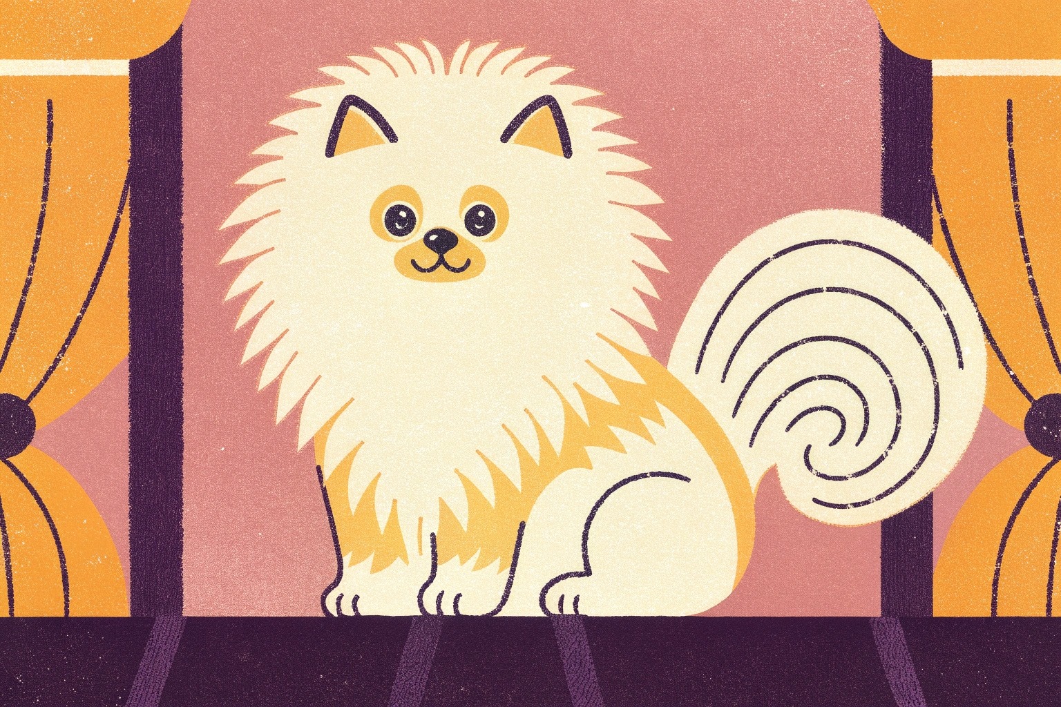 dog-breeder_52 نژاد سگ پامرانین