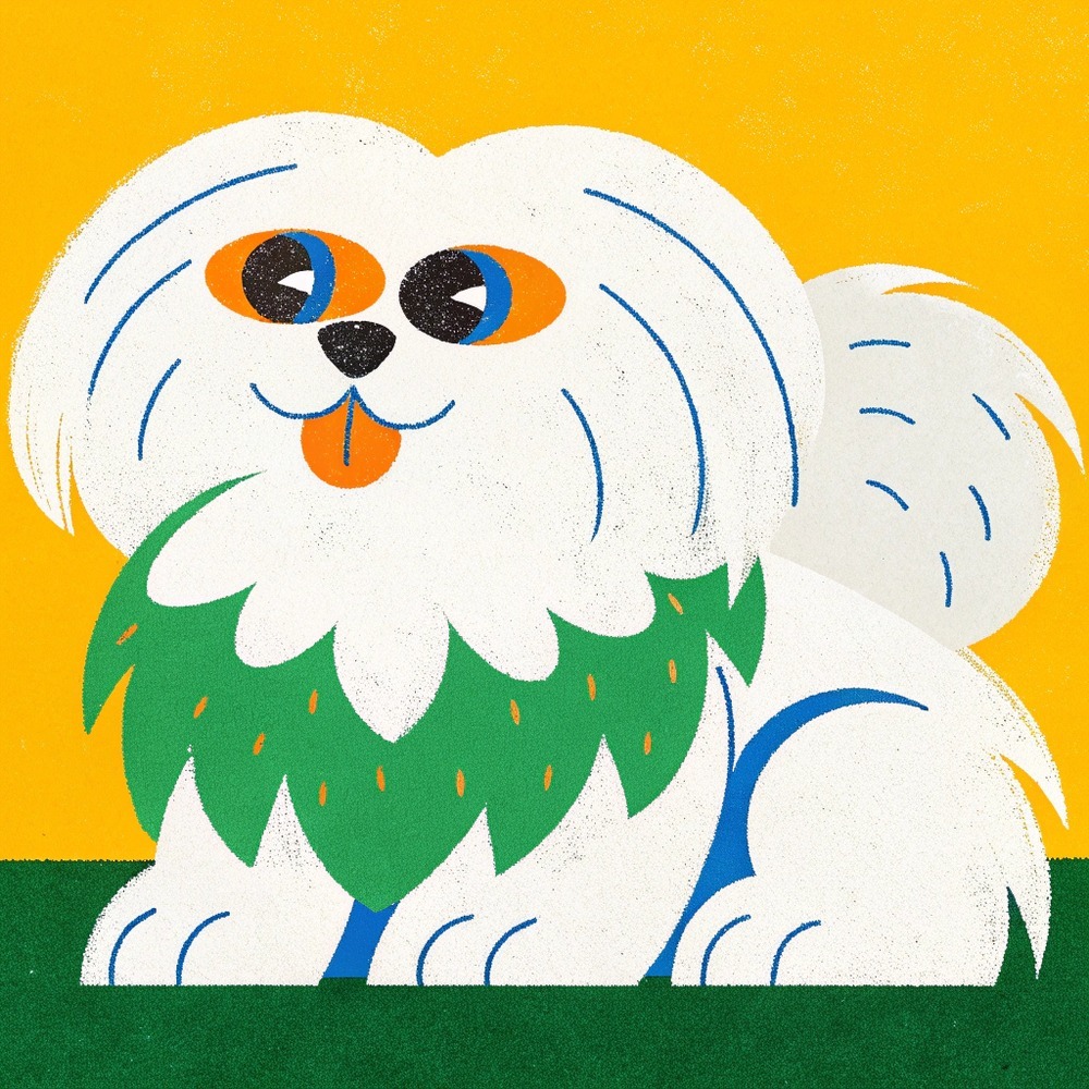 image – 2025-06-28T165906.130