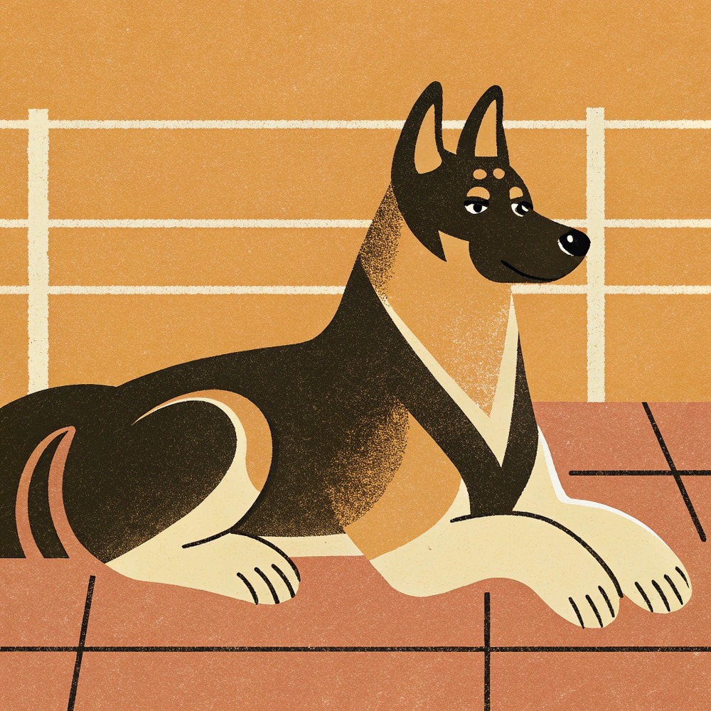 image – 2025-07-02T101552.537