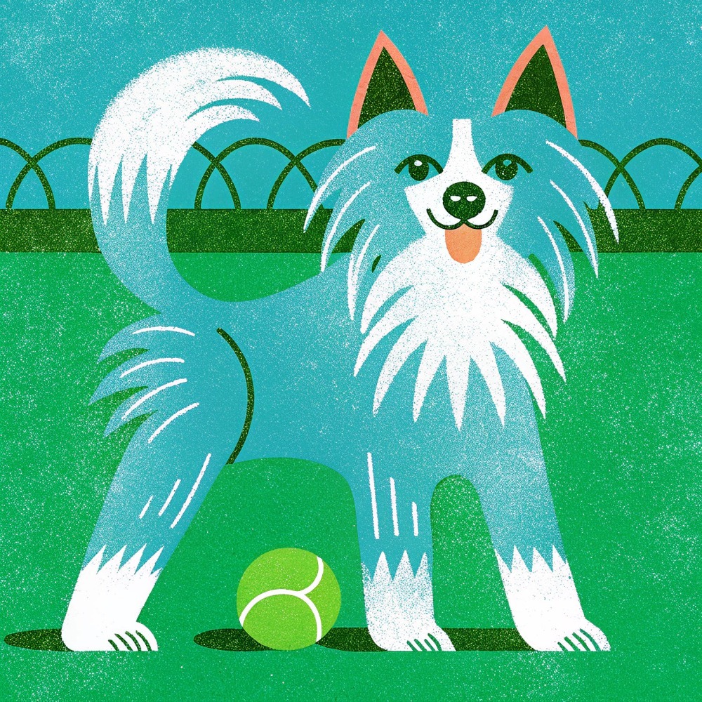 image – 2025-07-02T101705.327