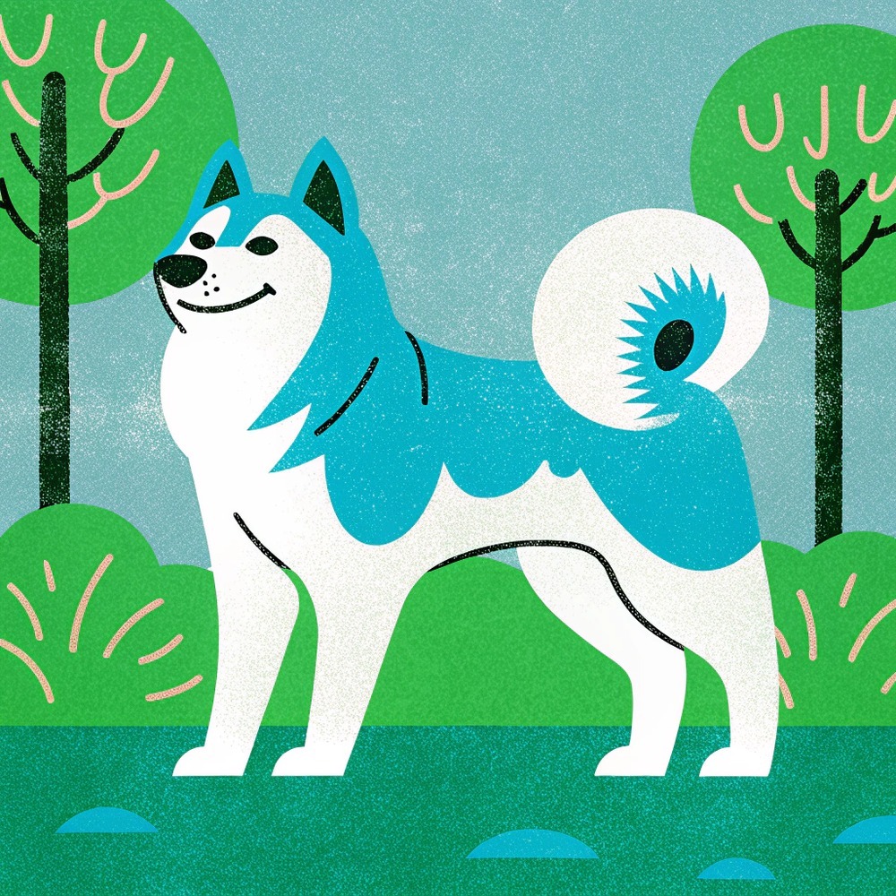 image – 2025-07-02T103956.491