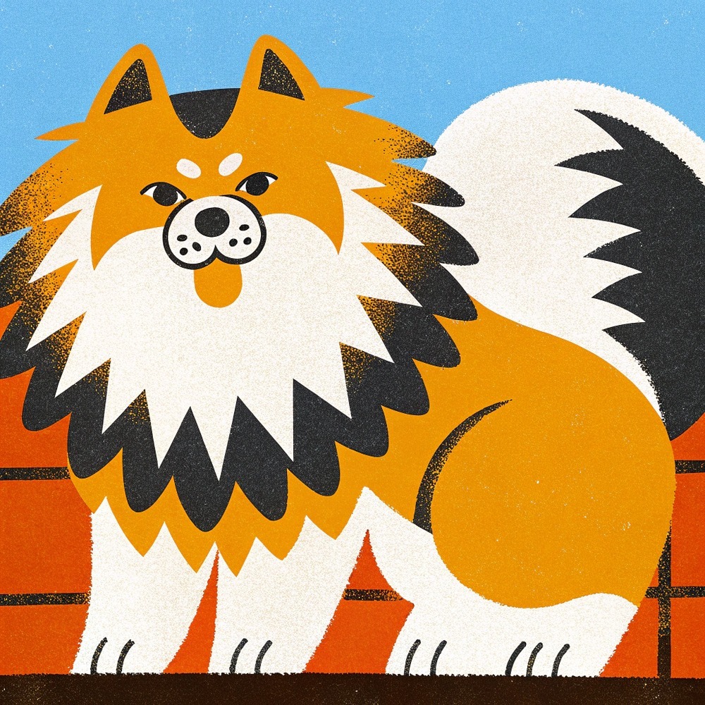 image – 2025-07-02T110044.053