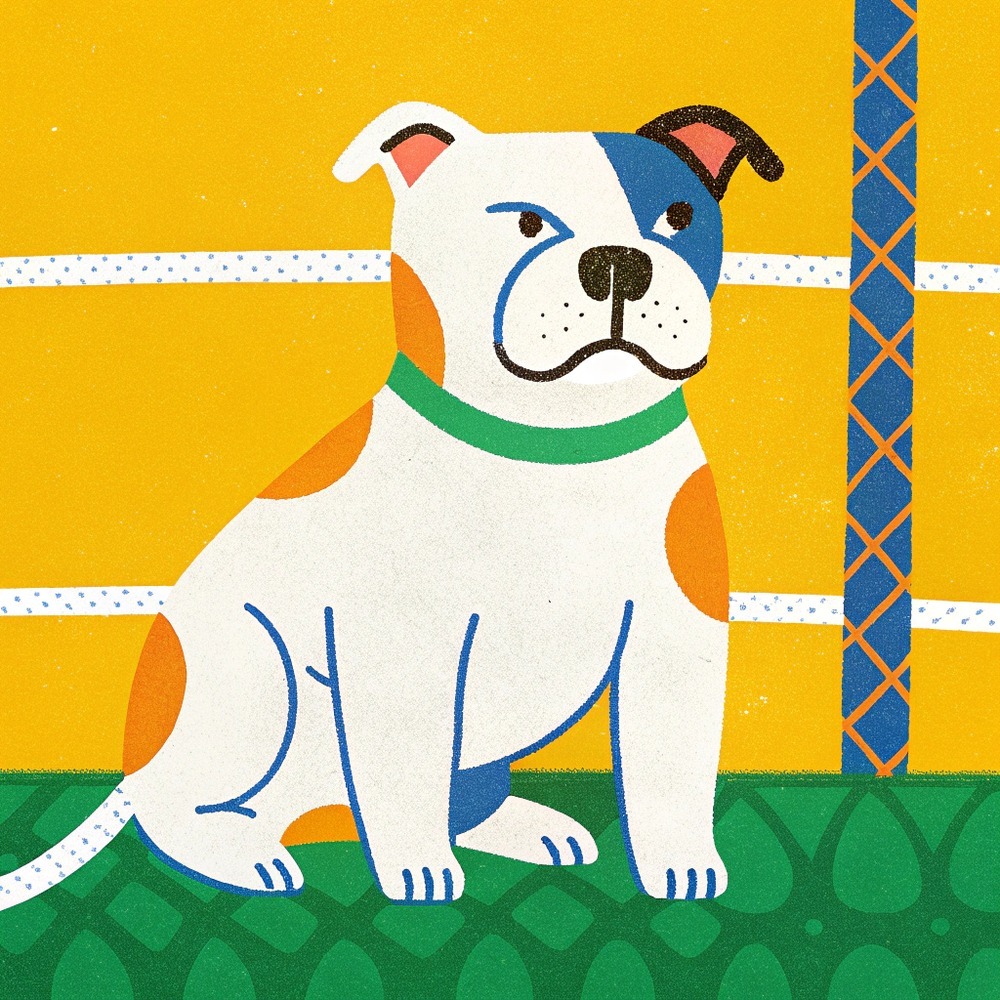 image – 2025-07-02T110926.681