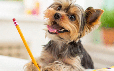 سگ چپ پنجه یا راست پنجه