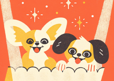 شیواوا یا چی واوا