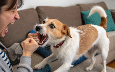 اگر سگ خانگی گاز بگیره باید آمپول هاری بزنیم؟